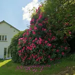 Chalet Treeside Woodhouse Hawkshead