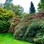 Treeside Woodhouse Chalé