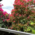 Treeside Woodhouse * Hawkshead