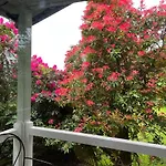 Chalé Treeside Woodhouse *