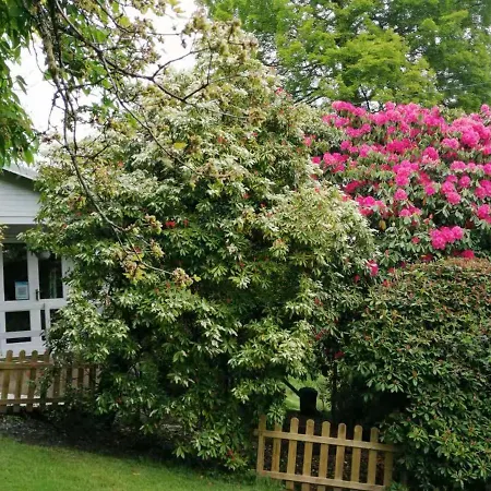 Treeside Woodhouse Chalé *