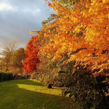 Chalet Treeside Woodhouse