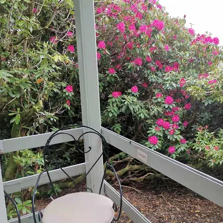 Chalet Treeside Woodhouse *