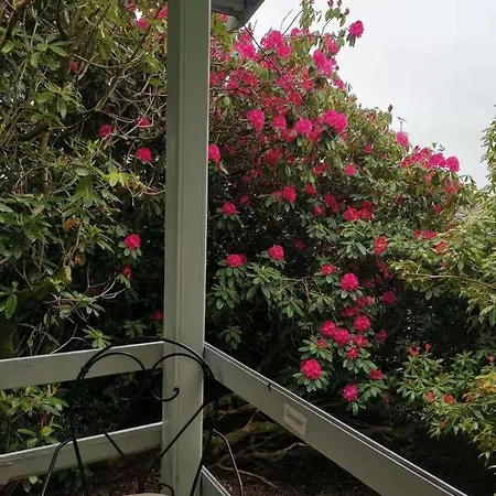 Treeside Woodhouse *
