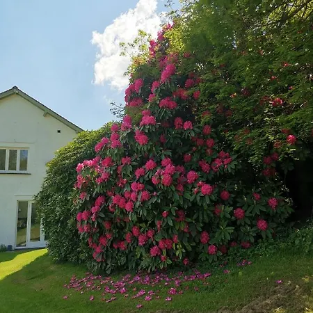 Chalet Treeside Woodhouse Hawkshead