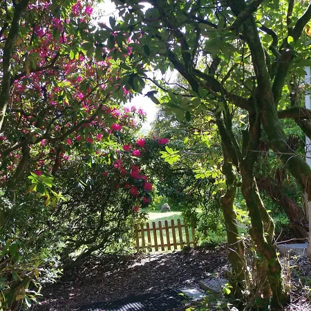 Treeside Woodhouse Hawkshead