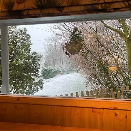 Treeside Woodhouse Chalet