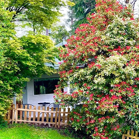 Treeside Woodhouse *