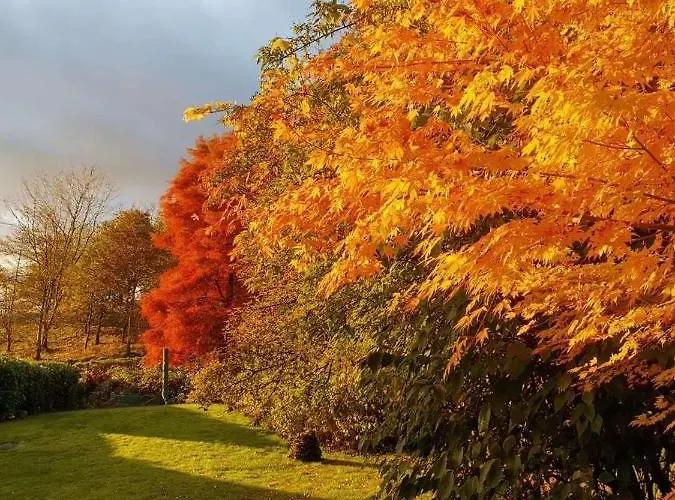 Dağ evi Treeside Woodhouse