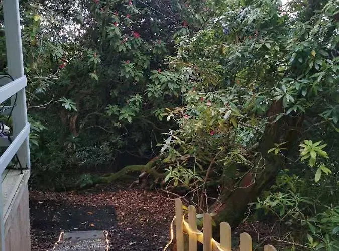 Chalé Treeside Woodhouse