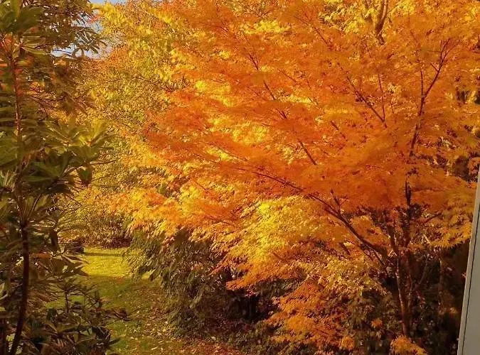 Treeside Woodhouse Hawkshead