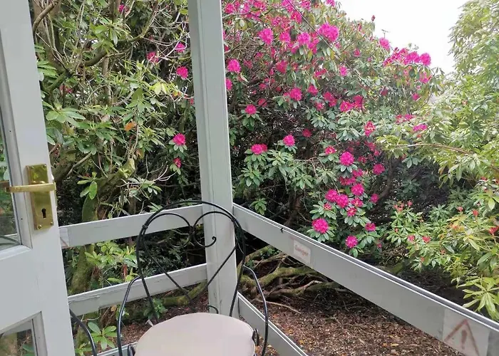 Chalé Treeside Woodhouse *