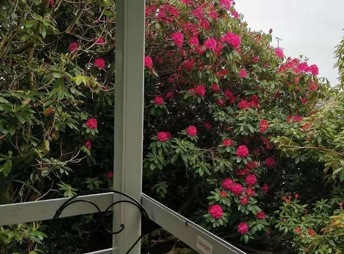 Treeside Woodhouse *