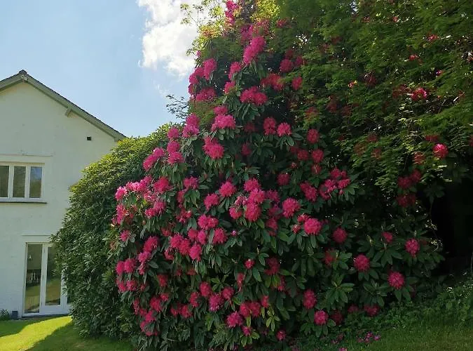 Chalé Treeside Woodhouse Hawkshead