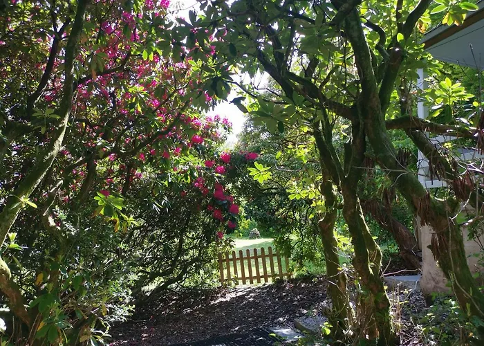 Treeside Woodhouse Hawkshead