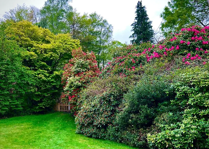 Treeside Woodhouse Dağ evi