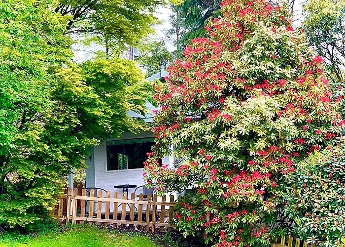 Treeside Woodhouse *