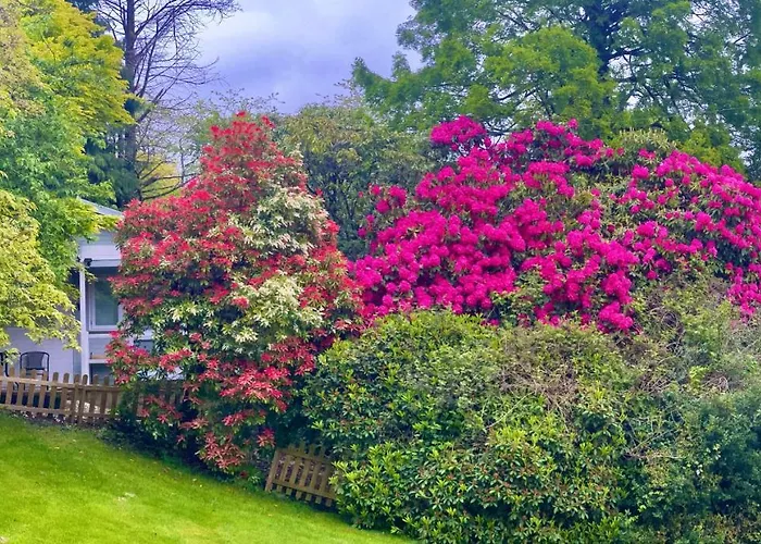 Treeside Woodhouse *