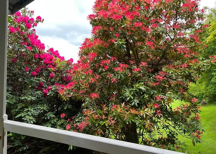 Treeside Woodhouse * Hawkshead