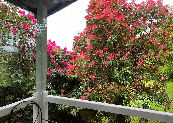 Chalé Treeside Woodhouse *