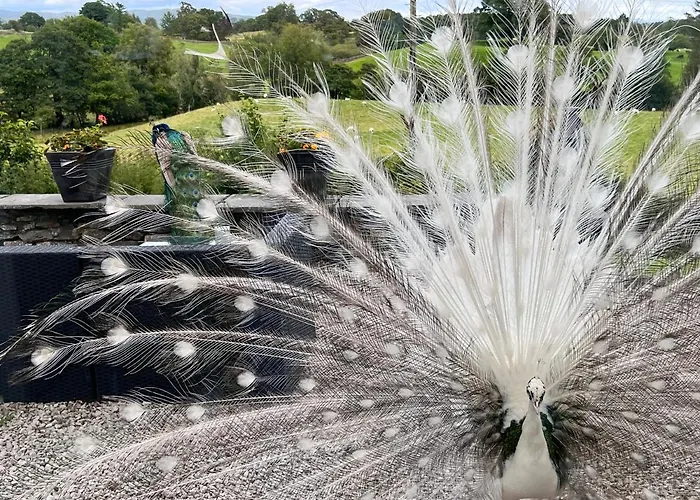 Treeside Woodhouse Hawkshead