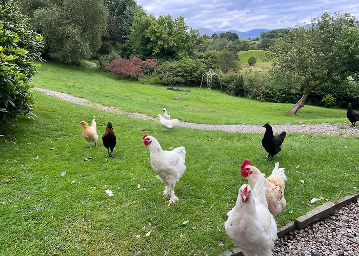 Treeside Woodhouse *