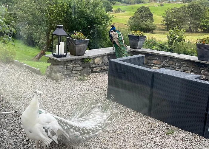 Treeside Woodhouse Hawkshead