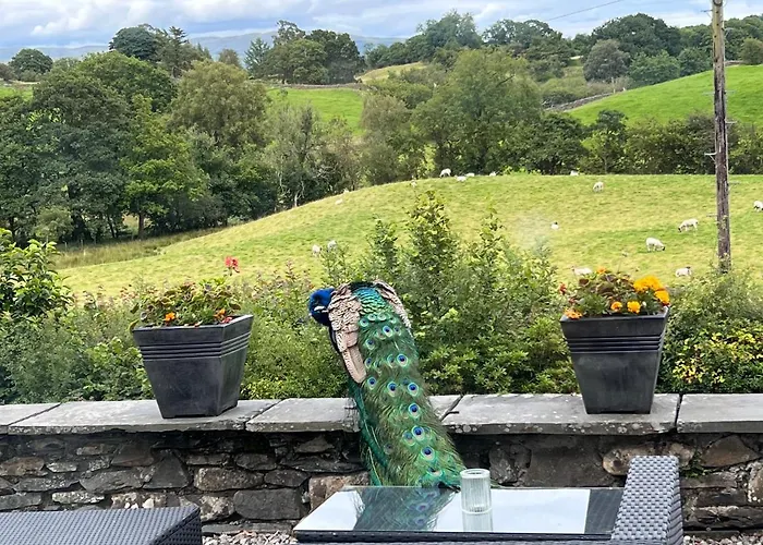 Treeside Woodhouse * Hawkshead