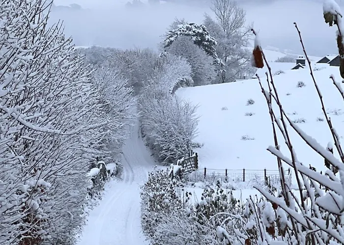 Treeside Woodhouse * Hawkshead