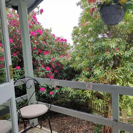 בקתה Treeside Woodhouse
