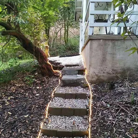 Treeside Woodhouse בקתה *