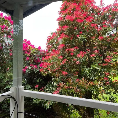 בקתה Treeside Woodhouse *